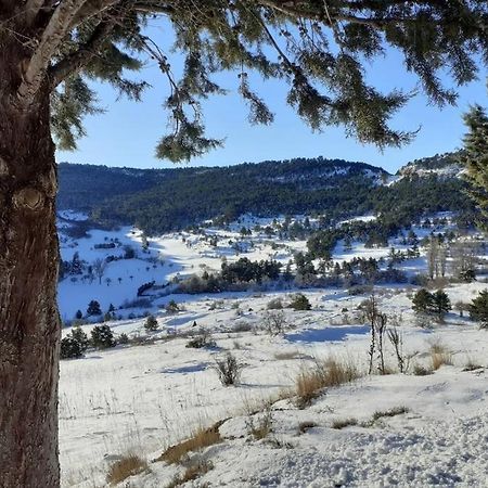 Apartamento Solano - Virgen De La Vega - Alcala Ideal Montana Y Relax Teruel Eksteriør bilde